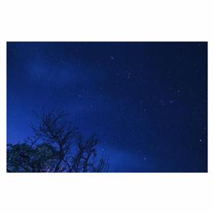 游泳爆乳露双奶头被教练玩弄
