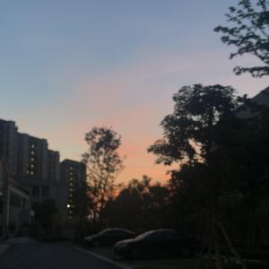 游泳爆乳露双奶头被教练玩弄
