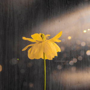 游泳爆乳露双奶头被教练玩弄
